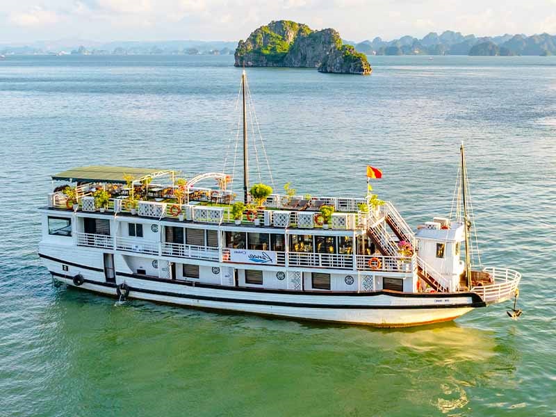 Renea Cruise - 12 Cabins - Bai Tu Long Bay - 2 Days 1 Night